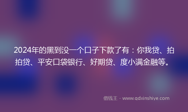 2024年的黑到没一个口子下款了有：你我贷、拍拍贷、平安口袋银行、好期贷、度小满金融等。