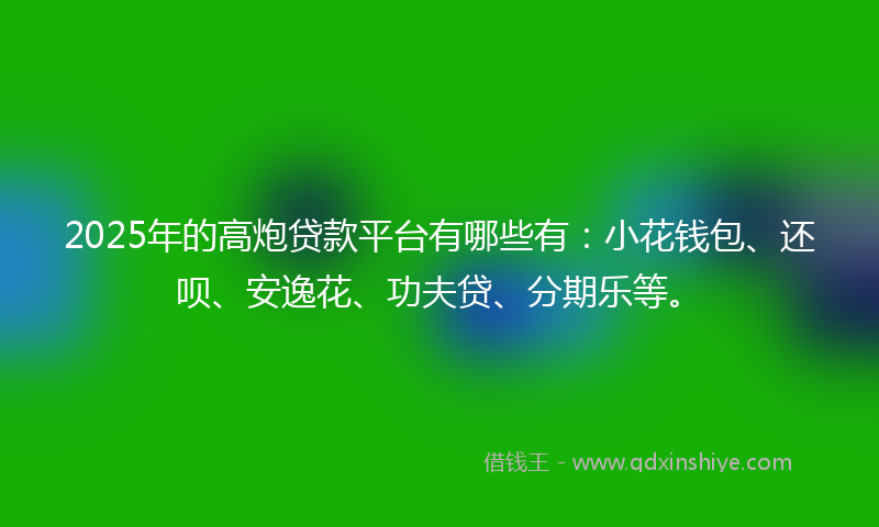 2025年的高炮贷款平台有哪些有：小花钱包、还呗、安逸花、功夫贷、分期乐等。