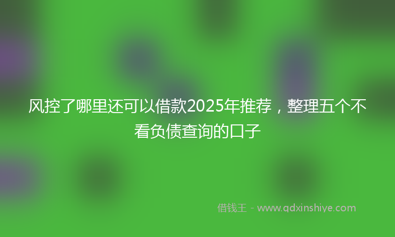 风控了哪里还可以借款2025年推荐，整理五个不看负债查询的口子