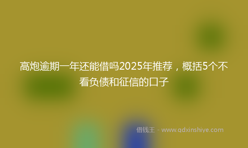 高炮逾期一年还能借吗2025年推荐，概括5个不看负债和征信的口子