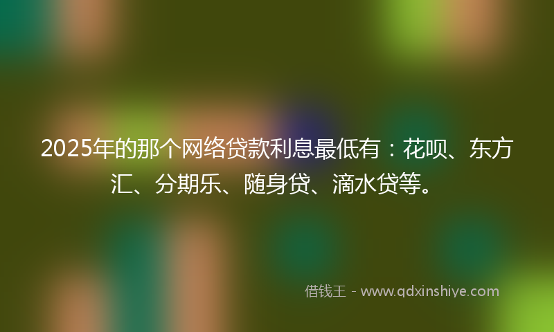 2025年的那个网络贷款利息最低有：花呗、东方汇、分期乐、随身贷、滴水贷等。
