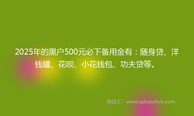 2025年的黑户500元必下备用金有：随身贷、洋钱罐、花呗、小花钱包、功夫贷等。