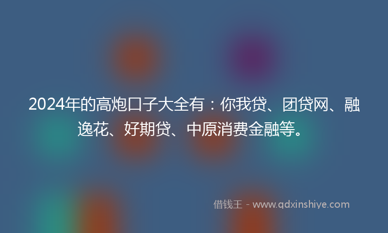 2024年的高炮口子大全有：你我贷、团贷网、融逸花、好期贷、中原消费金融等。