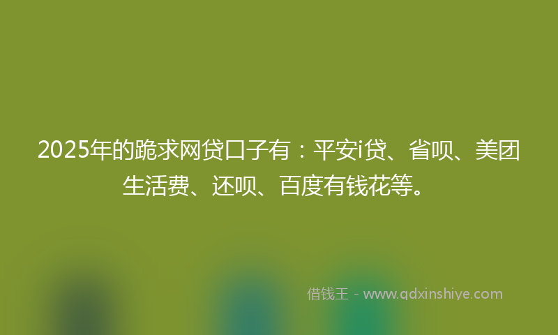 2025年的跪求网贷口子有：平安i贷、省呗、美团生活费、还呗、百度有钱花等。