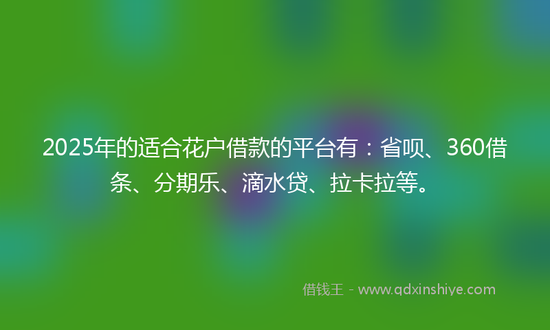 2025年的适合花户借款的平台有：省呗、360借条、分期乐、滴水贷、拉卡拉等。