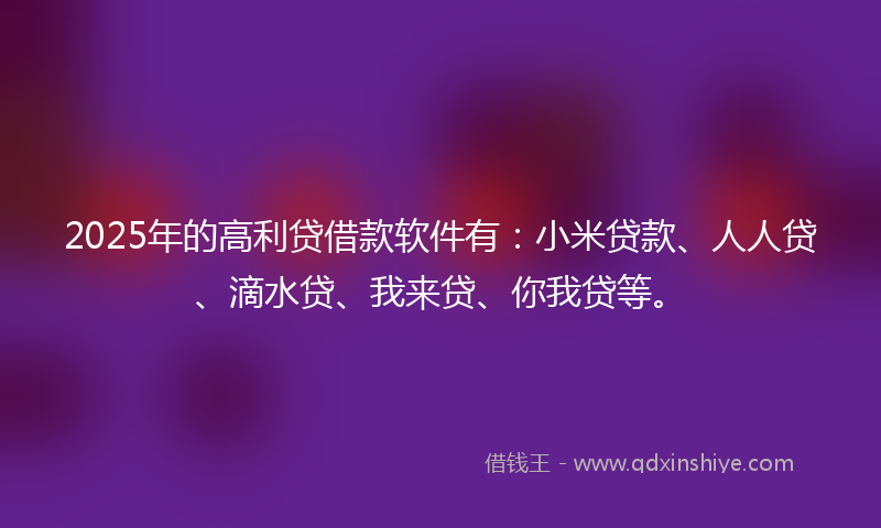 2025年的高利贷借款软件有：小米贷款、人人贷、滴水贷、我来贷、你我贷等。