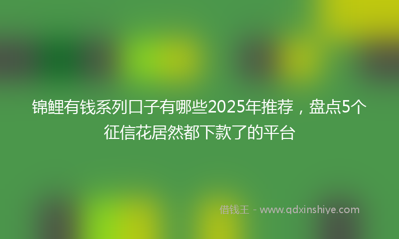 锦鲤有钱系列口子有哪些2025年推荐，盘点5个征信花居然都下款了的平台