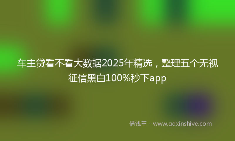 车主贷看不看大数据2025年精选，整理五个无视征信黑白100%秒下app