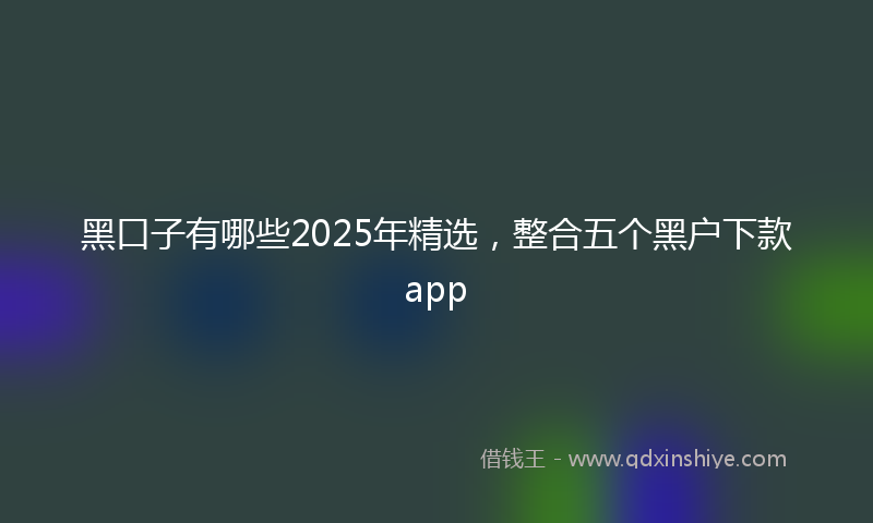 黑口子有哪些2025年精选，整合五个黑户下款app