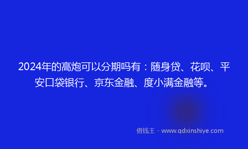 2024年的高炮可以分期吗有：随身贷、花呗、平安口袋银行、京东金融、度小满金融等。