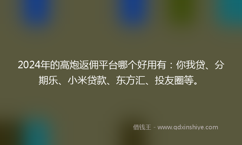 2024年的高炮返佣平台哪个好用有：你我贷、分期乐、小米贷款、东方汇、投友圈等。