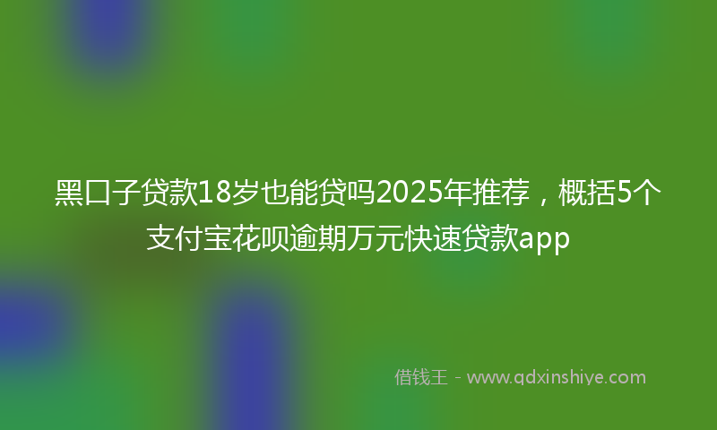 黑口子贷款18岁也能贷吗2025年推荐，概括5个支付宝花呗逾期万元快速贷款app