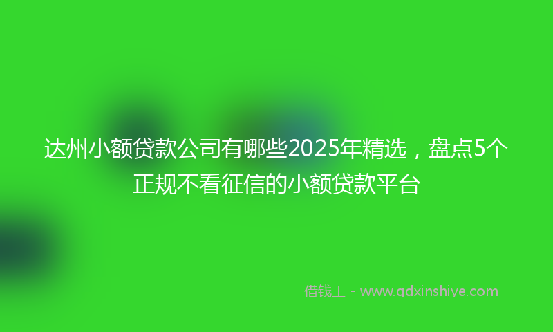 达州小额贷款公司有哪些2025年精选，盘点5个正规不看征信的小额贷款平台