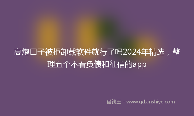 高炮口子被拒卸载软件就行了吗2024年精选，整理五个不看负债和征信的app