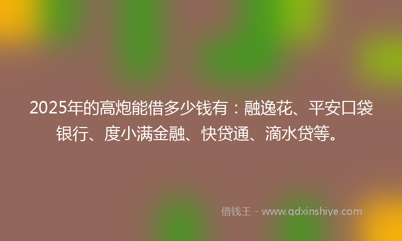 2025年的高炮能借多少钱有：融逸花、平安口袋银行、度小满金融、快贷通、滴水贷等。