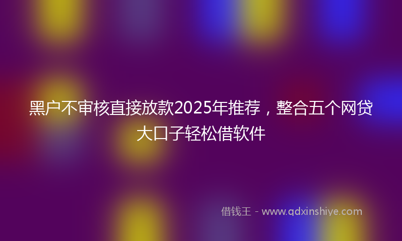 黑户不审核直接放款2025年推荐，整合五个网贷大口子轻松借软件