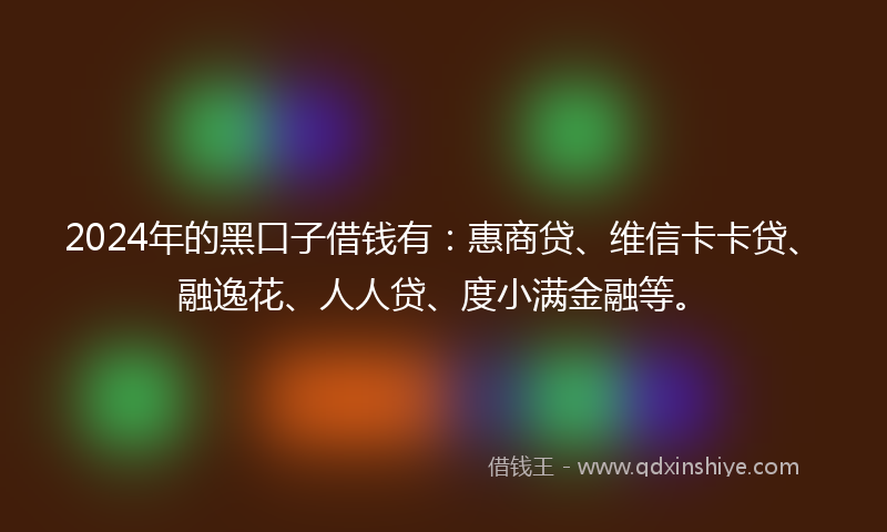 2024年的黑口子借钱有：惠商贷、维信卡卡贷、融逸花、人人贷、度小满金融等。
