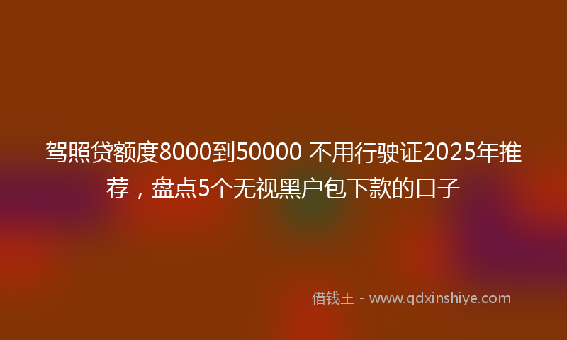 驾照贷额度8000到50000 不用行驶证2025年推荐，盘点5个无视黑户包下款的口子