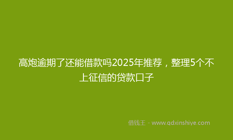 高炮逾期了还能借款吗2025年推荐，整理5个不上征信的贷款口子