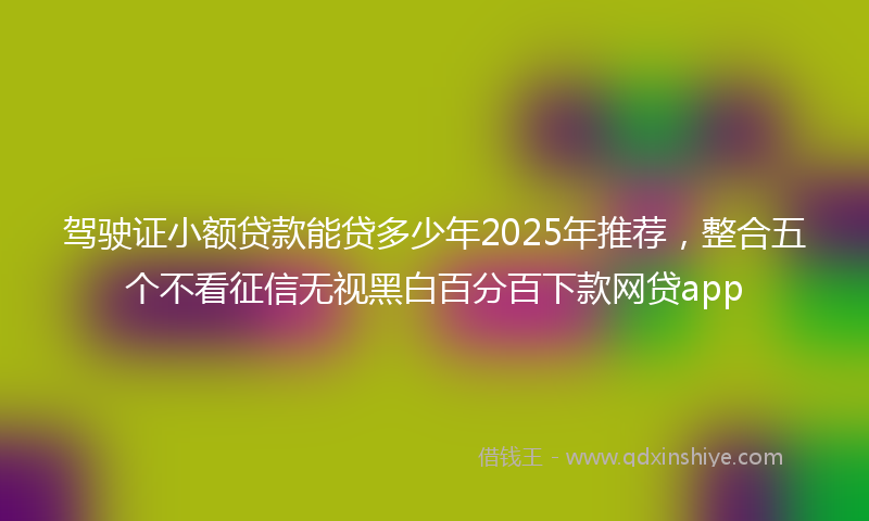 驾驶证小额贷款能贷多少年2025年推荐，整合五个不看征信无视黑白百分百下款网贷app