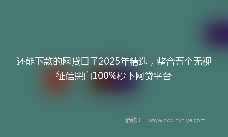 还能下款的网贷口子2025年精选，整合五个无视征信黑白100%秒下网贷平台