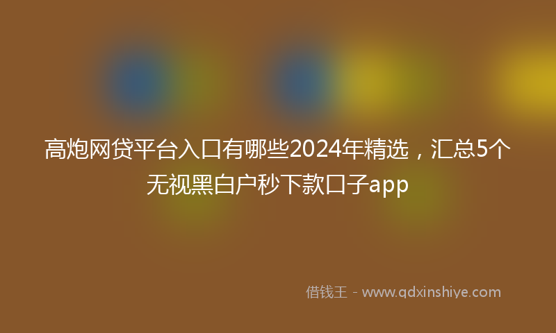 高炮网贷平台入口有哪些2024年精选，汇总5个无视黑白户秒下款口子app
