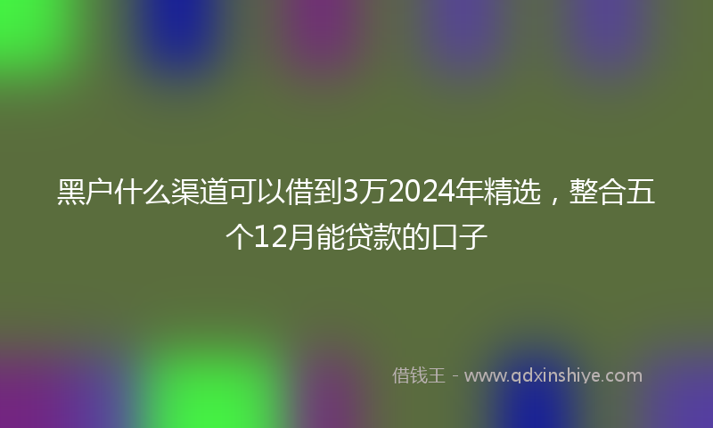 黑户什么渠道可以借到3万2024年精选，整合五个12月能贷款的口子