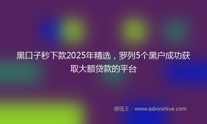 黑口子秒下款2025年精选，罗列5个黑户成功获取大额贷款的平台