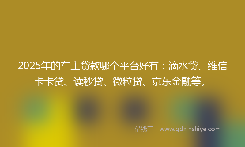 2025年的车主贷款哪个平台好有：滴水贷、维信卡卡贷、读秒贷、微粒贷、京东金融等。