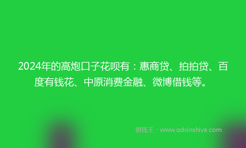 2024年的高炮口子花呗有：惠商贷、拍拍贷、百度有钱花、中原消费金融、微博借钱等。