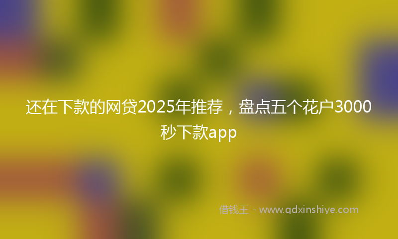 还在下款的网贷2025年推荐，盘点五个花户3000秒下款app