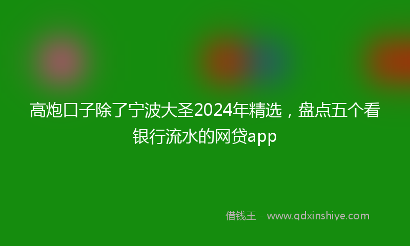 高炮口子除了宁波大圣2024年精选，盘点五个看银行流水的网贷app
