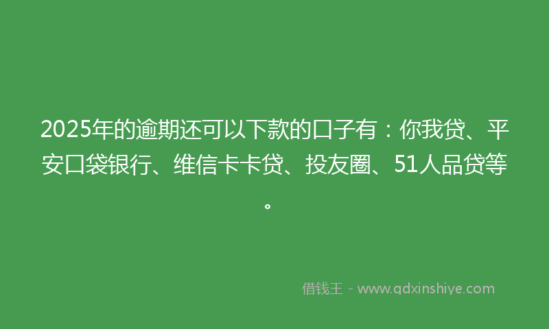 2025年的逾期还可以下款的口子有：你我贷、平安口袋银行、维信卡卡贷、投友圈、51人品贷等。