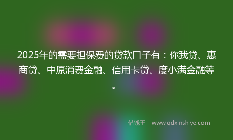 2025年的需要担保费的贷款口子有：你我贷、惠商贷、中原消费金融、信用卡贷、度小满金融等。