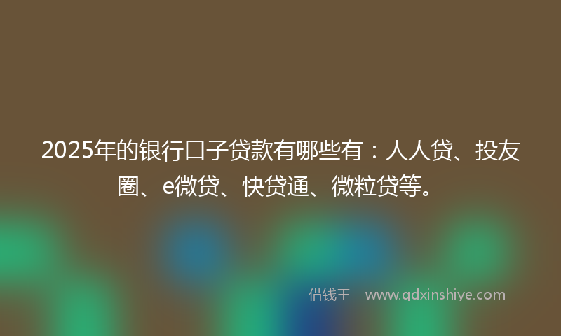 2025年的银行口子贷款有哪些有：人人贷、投友圈、e微贷、快贷通、微粒贷等。
