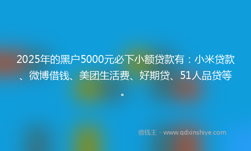 2025年的黑户5000元必下小额贷款有：小米贷款、微博借钱、美团生活费、好期贷、51人品贷等。