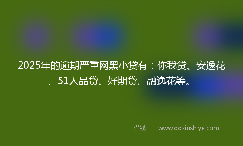 2025年的逾期严重网黑小贷有：你我贷、安逸花、51人品贷、好期贷、融逸花等。