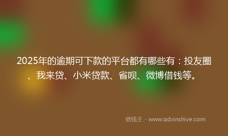 2025年的逾期可下款的平台都有哪些有：投友圈、我来贷、小米贷款、省呗、微博借钱等。