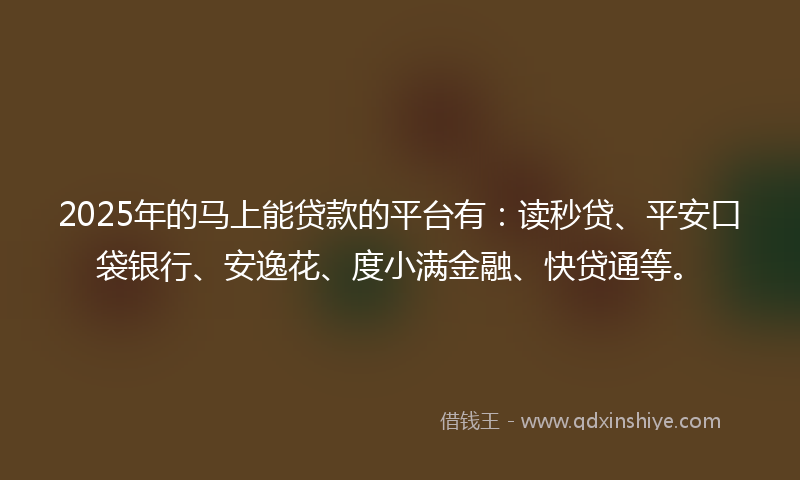 2025年的马上能贷款的平台有：读秒贷、平安口袋银行、安逸花、度小满金融、快贷通等。