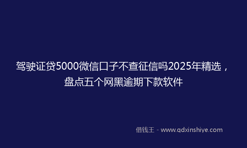 驾驶证贷5000微信口子不查征信吗2025年精选，盘点五个网黑逾期下款软件