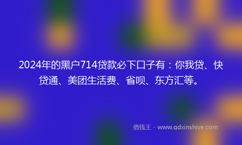 2024年的黑户714贷款必下口子有：你我贷、快贷通、美团生活费、省呗、东方汇等。