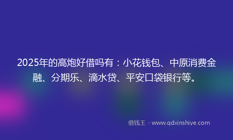 2025年的高炮好借吗有：小花钱包、中原消费金融、分期乐、滴水贷、平安口袋银行等。