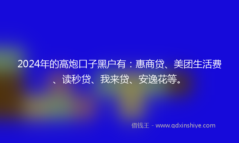 2024年的高炮口子黑户有：惠商贷、美团生活费、读秒贷、我来贷、安逸花等。