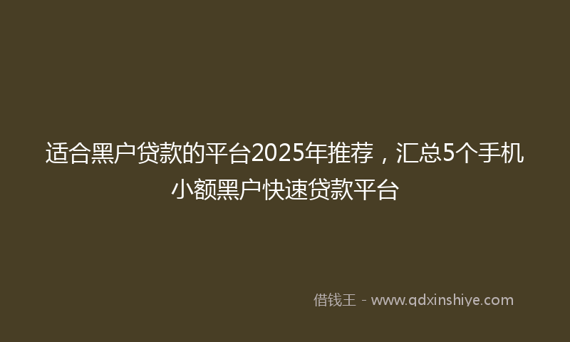 适合黑户贷款的平台2025年推荐，汇总5个手机小额黑户快速贷款平台