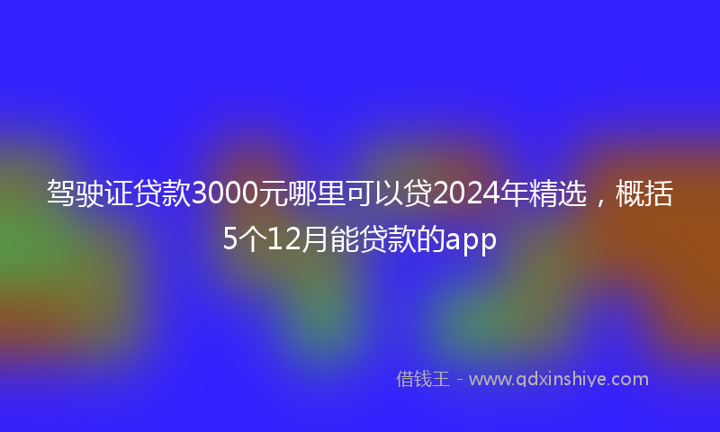 驾驶证贷款3000元哪里可以贷2024年精选，概括5个12月能贷款的app