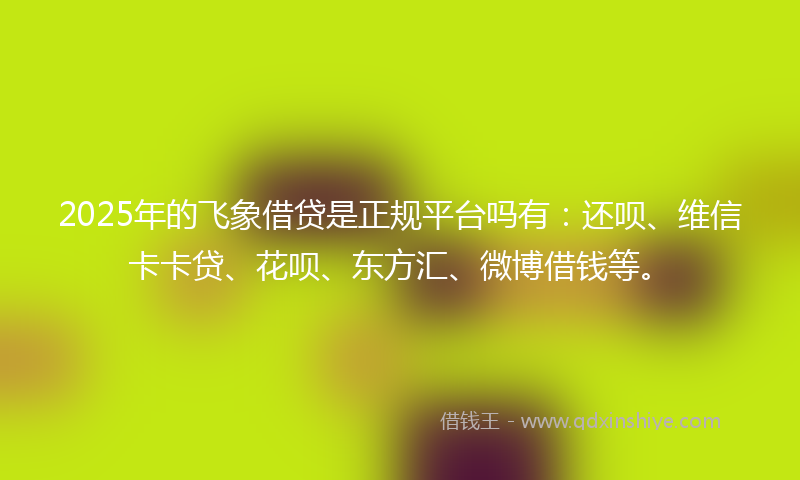 2025年的飞象借贷是正规平台吗有：还呗、维信卡卡贷、花呗、东方汇、微博借钱等。