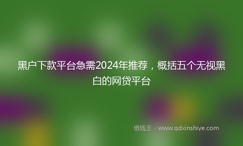 黑户下款平台急需2024年推荐，概括五个无视黑白的网贷平台