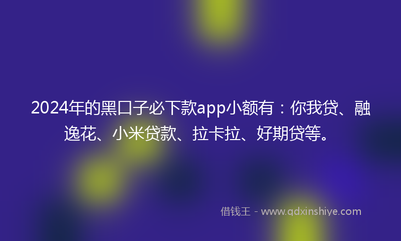 2024年的黑口子必下款app小额有：你我贷、融逸花、小米贷款、拉卡拉、好期贷等。