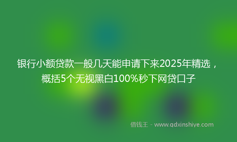 银行小额贷款一般几天能申请下来2025年精选，概括5个无视黑白100%秒下网贷口子
