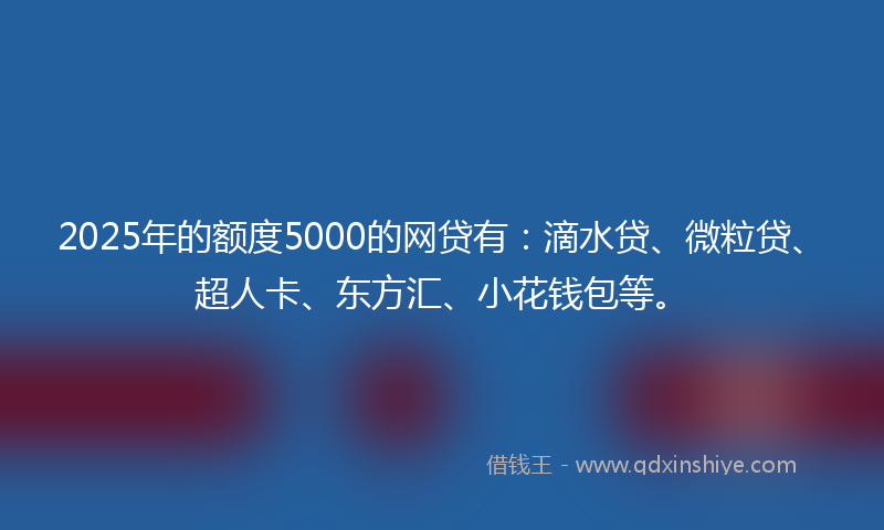 2025年的额度5000的网贷有：滴水贷、微粒贷、超人卡、东方汇、小花钱包等。